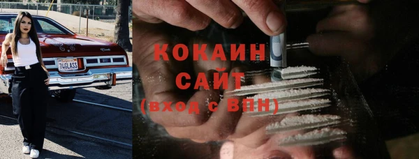 ECSTASY Богородск